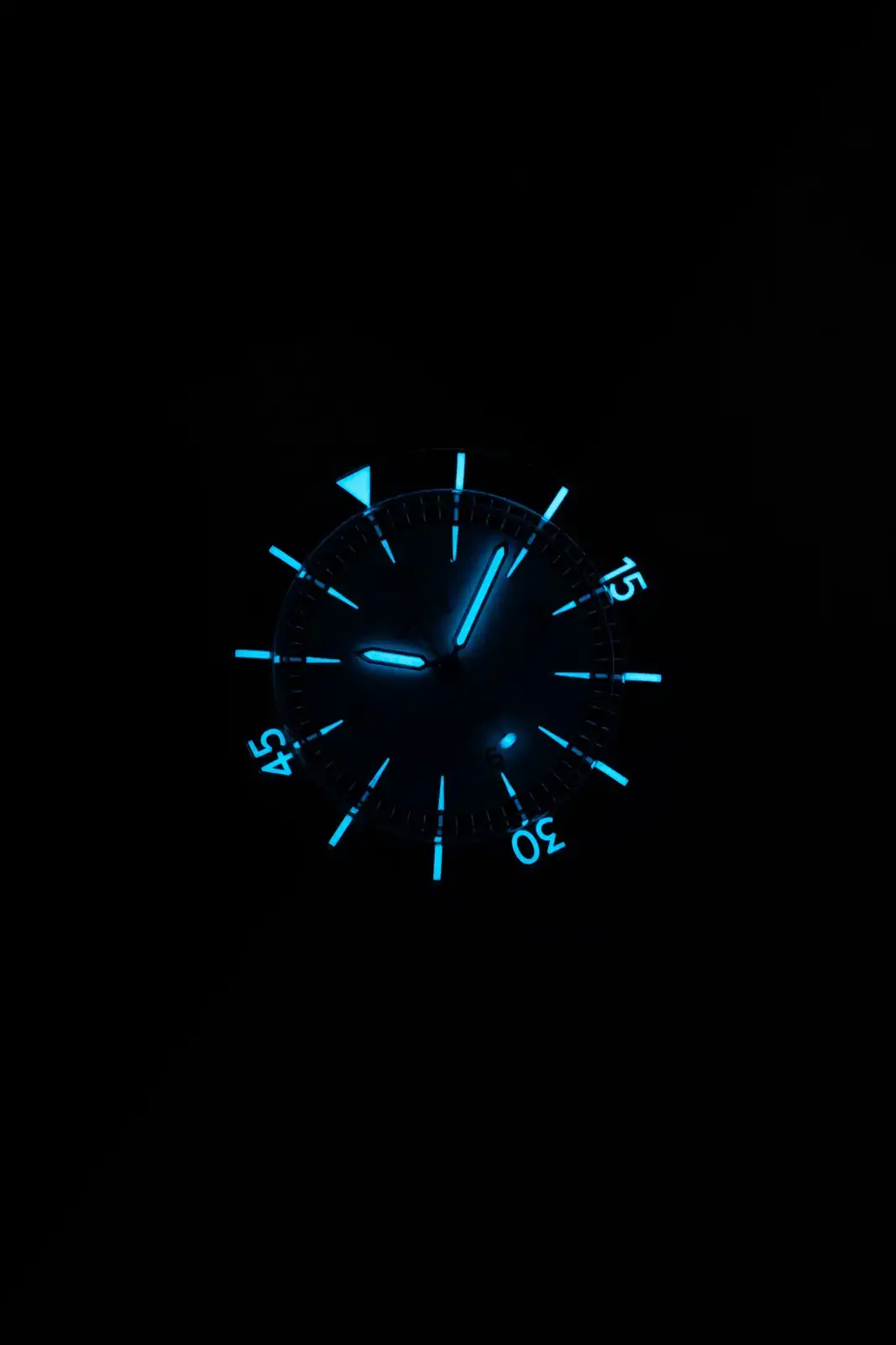DSCF8608.webp