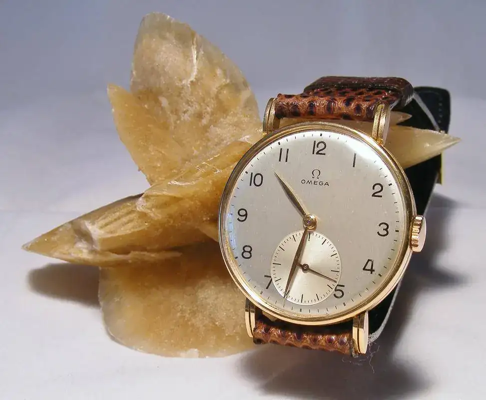 DSCF9170.webp