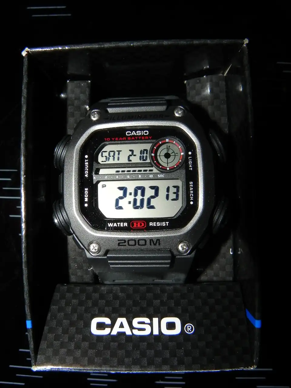 DSCN0031.webp
