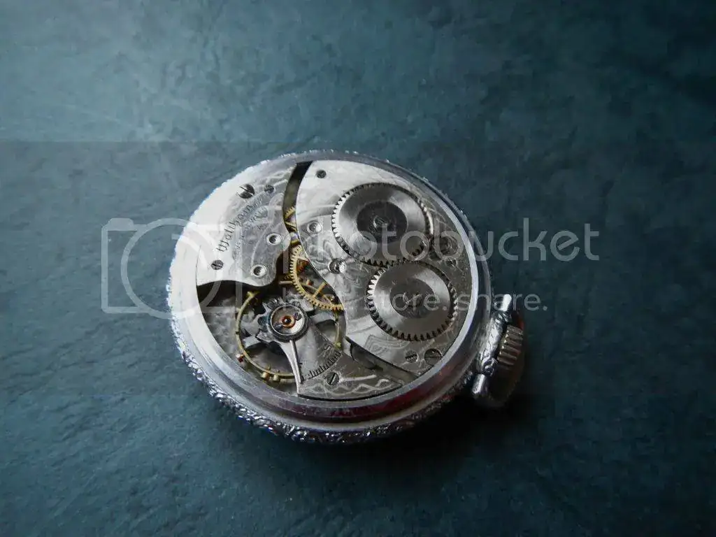DSCN0084_zpszlhrgvqa.webp