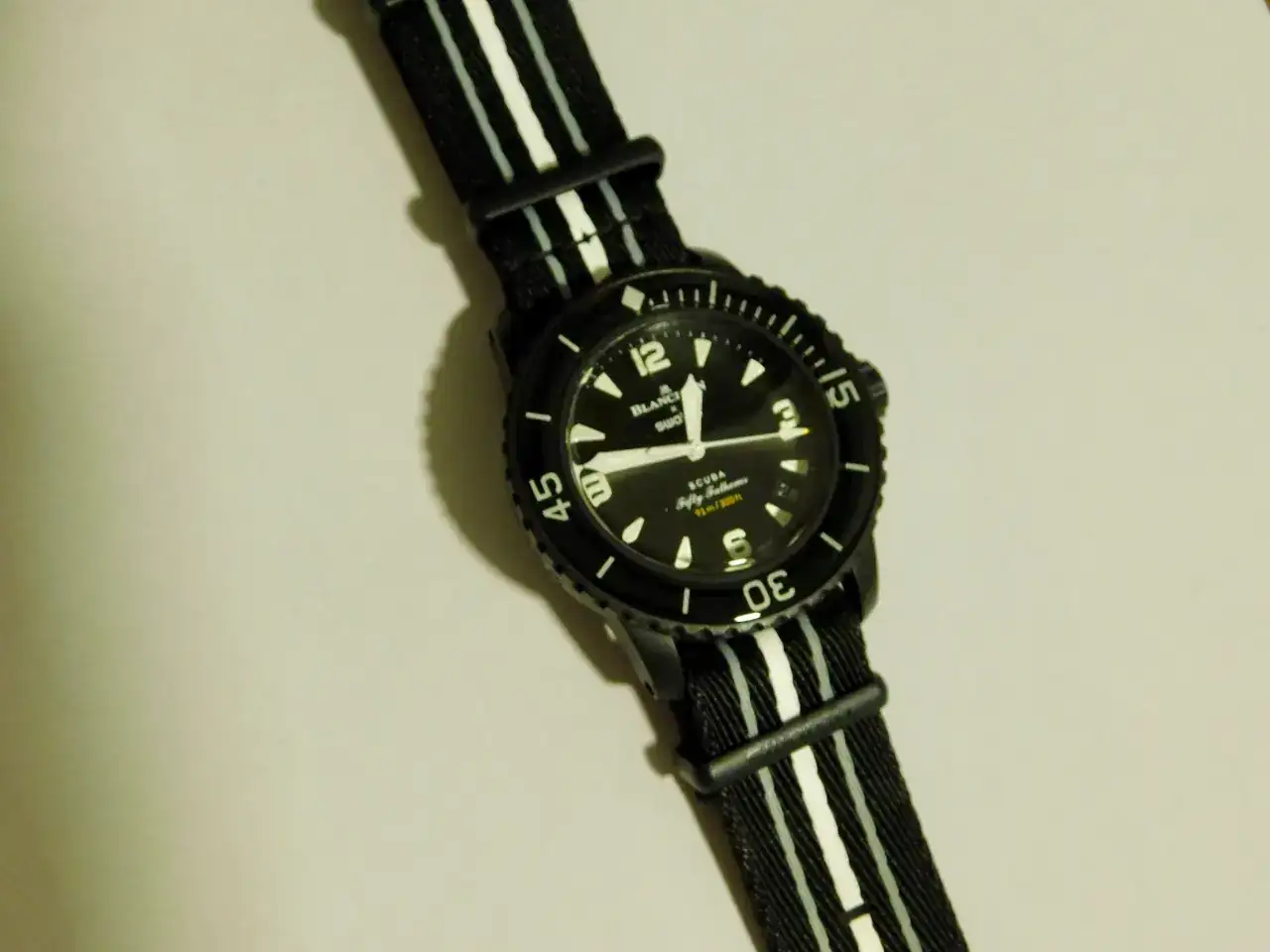 DSCN0087.webp
