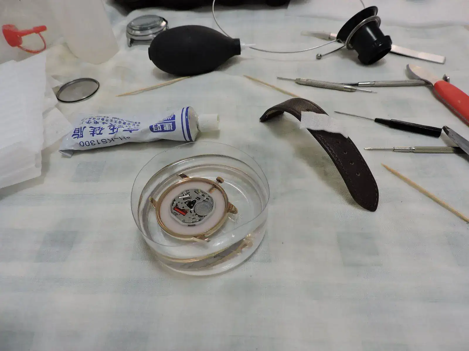 DSCN0092.webp