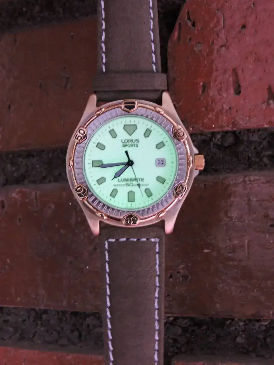 DSCN0127.webp