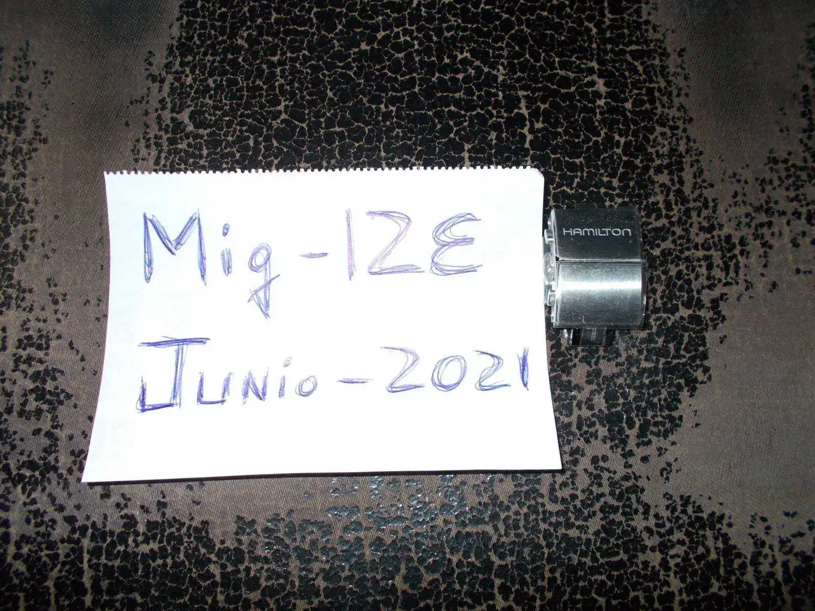 DSCN0133.webp