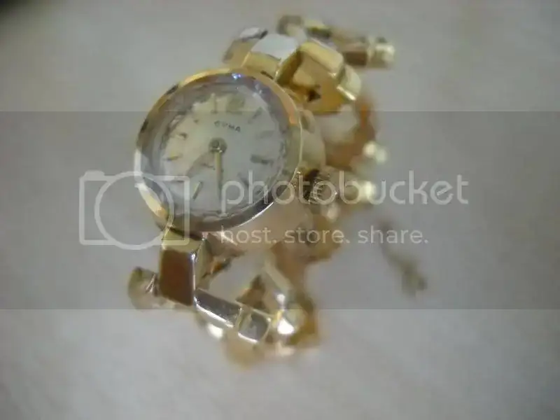 DSCN0141.webp