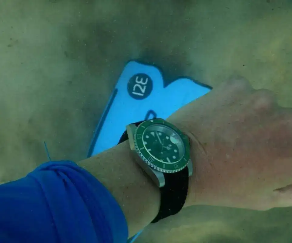 DSCN0161.webp
