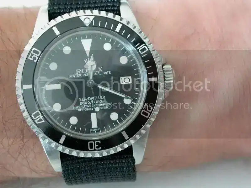 DSCN0234.webp