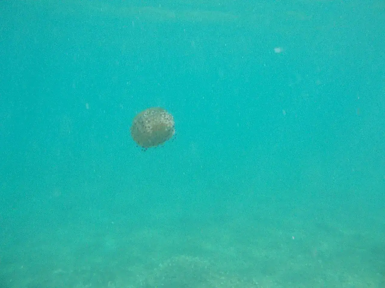DSCN0294.JPG