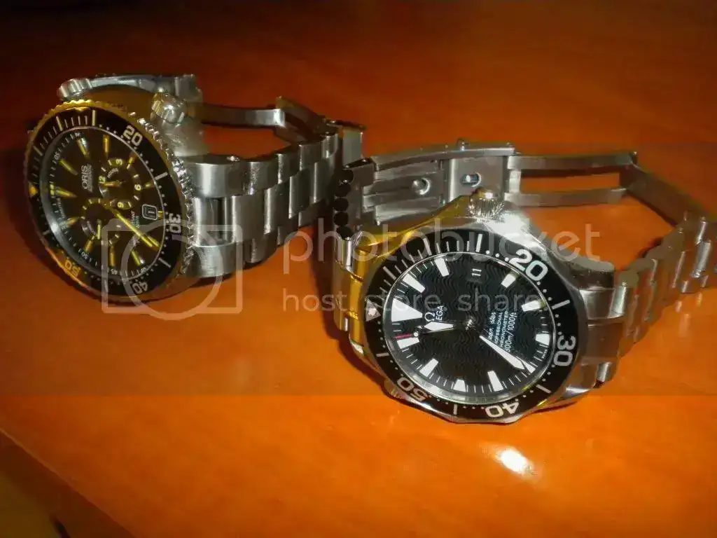 DSCN0315.webp