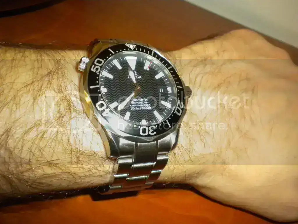 DSCN0321.webp