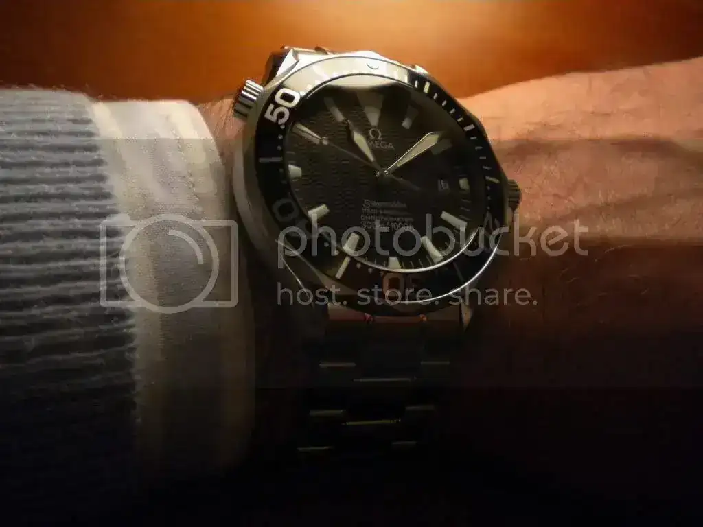 DSCN0382.webp