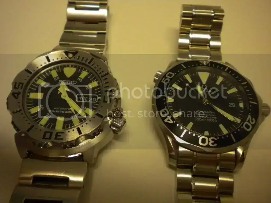 DSCN0401.webp