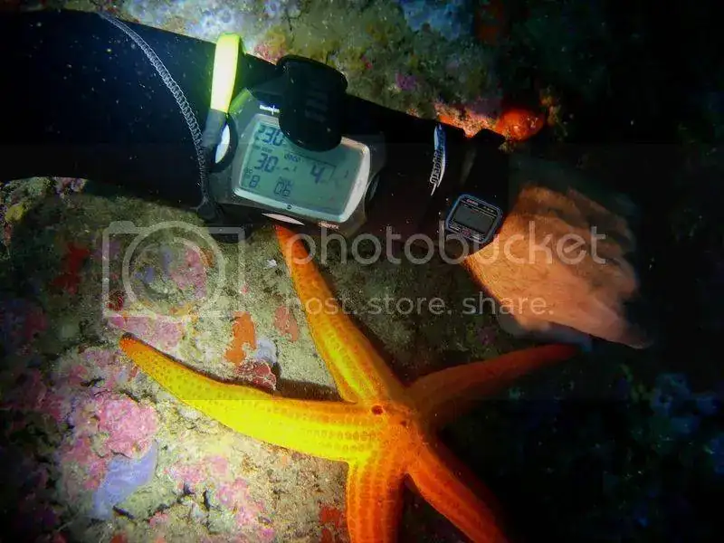 Dscn0405.webp