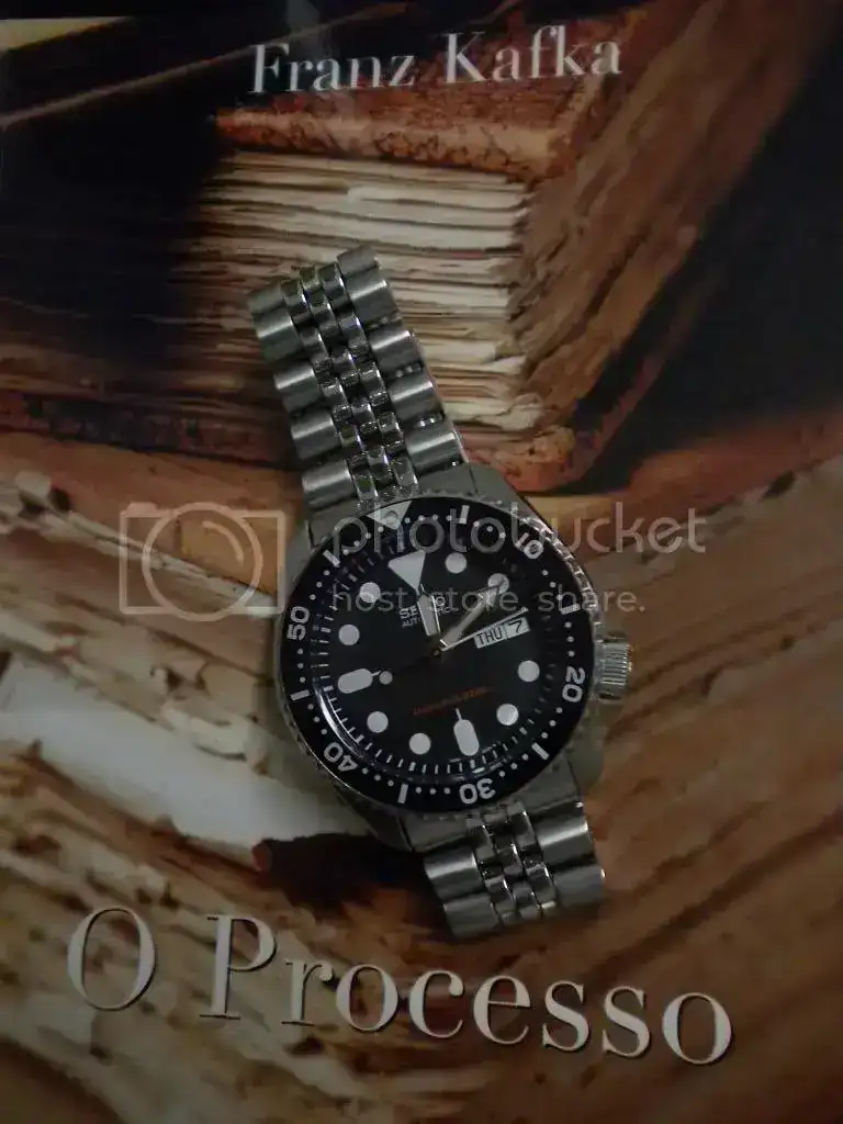 DSCN0409.webp
