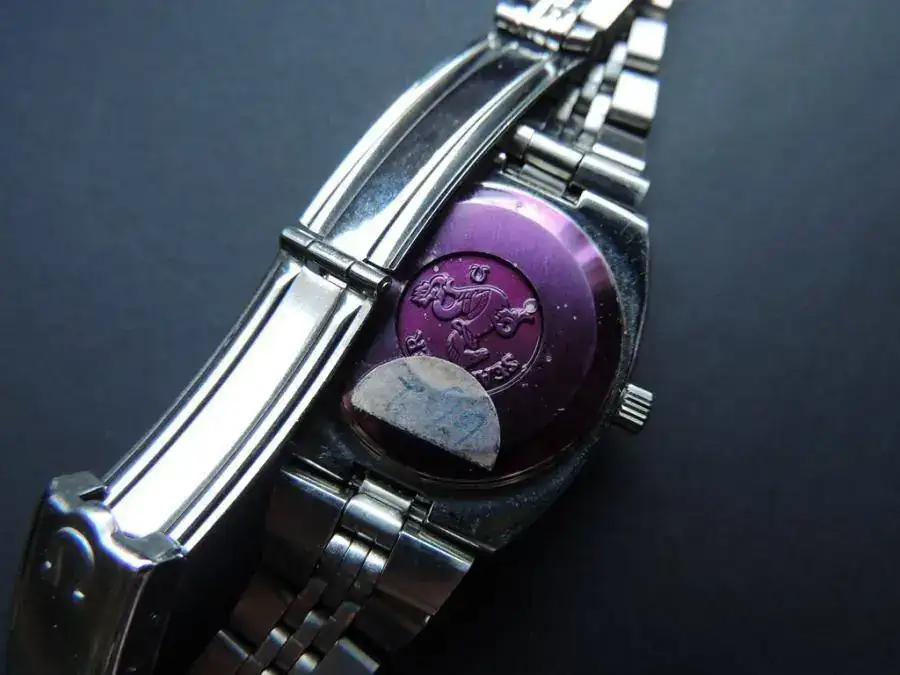 DSCN0414 (Copiar).webp