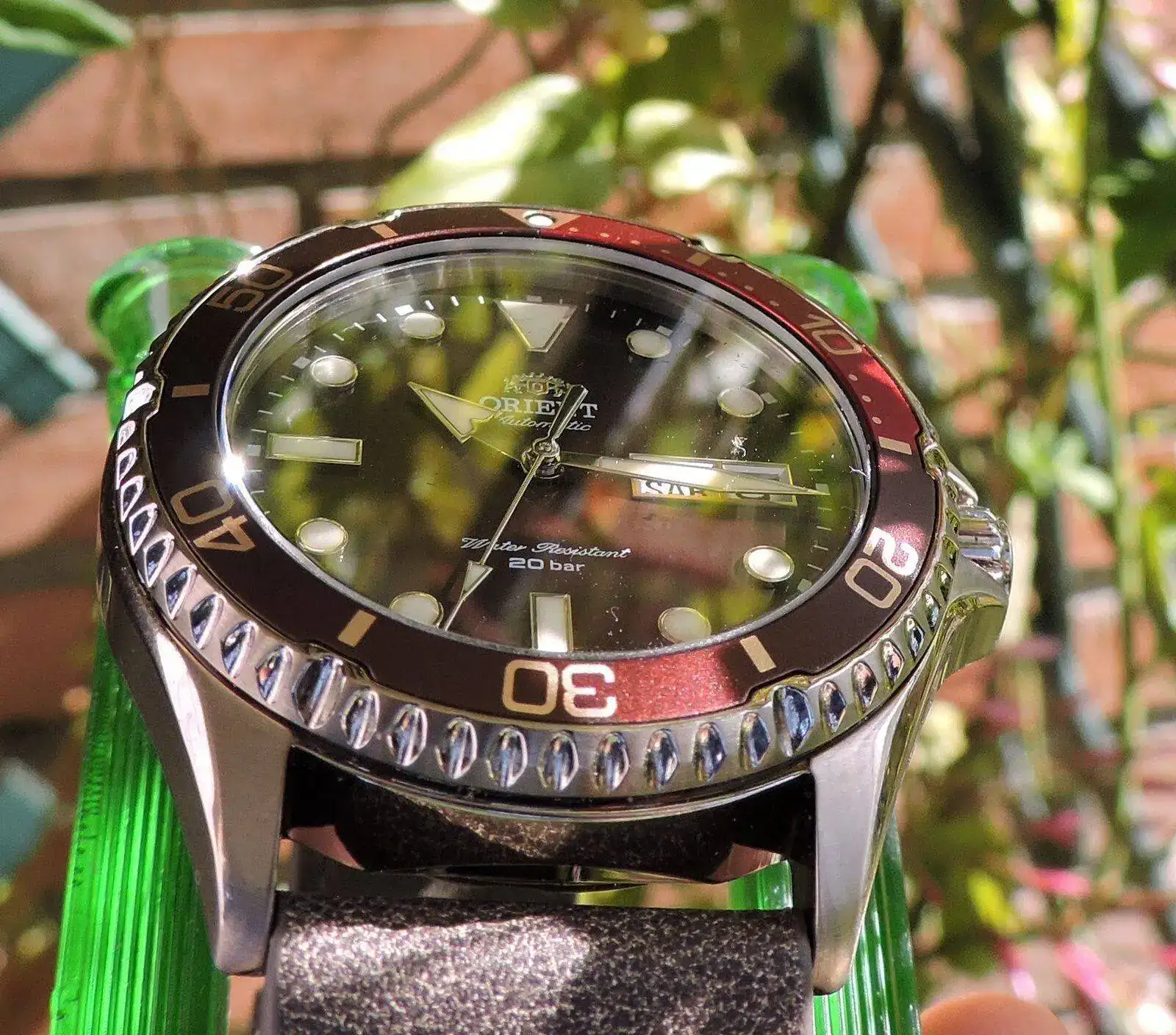 DSCN0422.webp