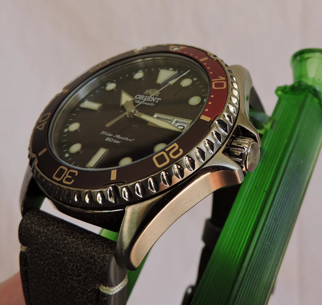 DSCN0425.webp