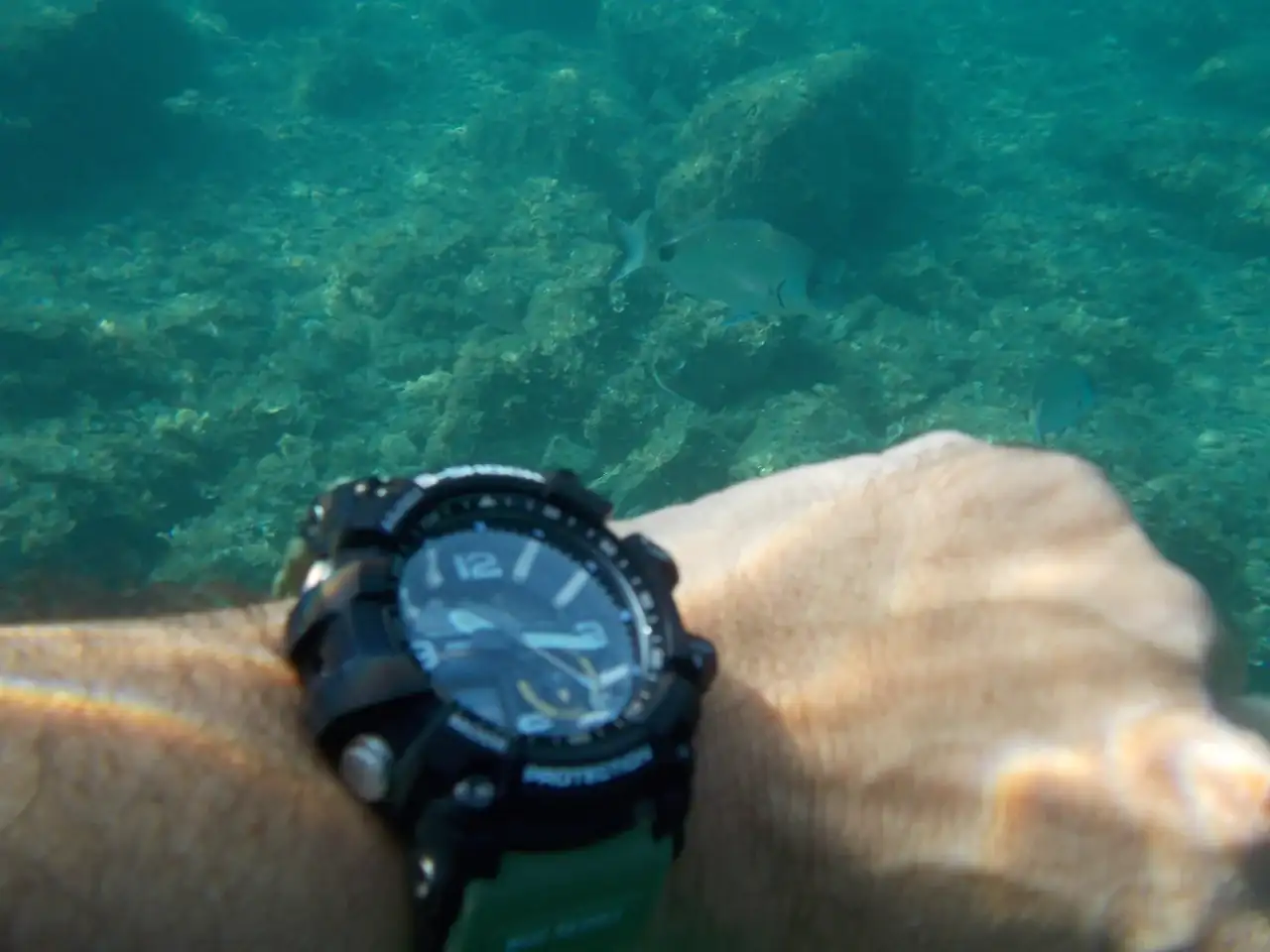DSCN0504.webp
