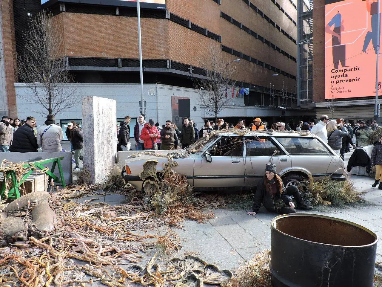 DSCN0533.webp
