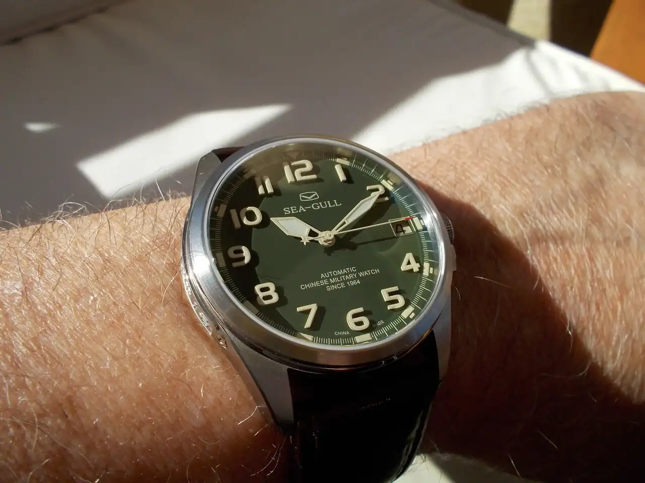 DSCN0658.webp