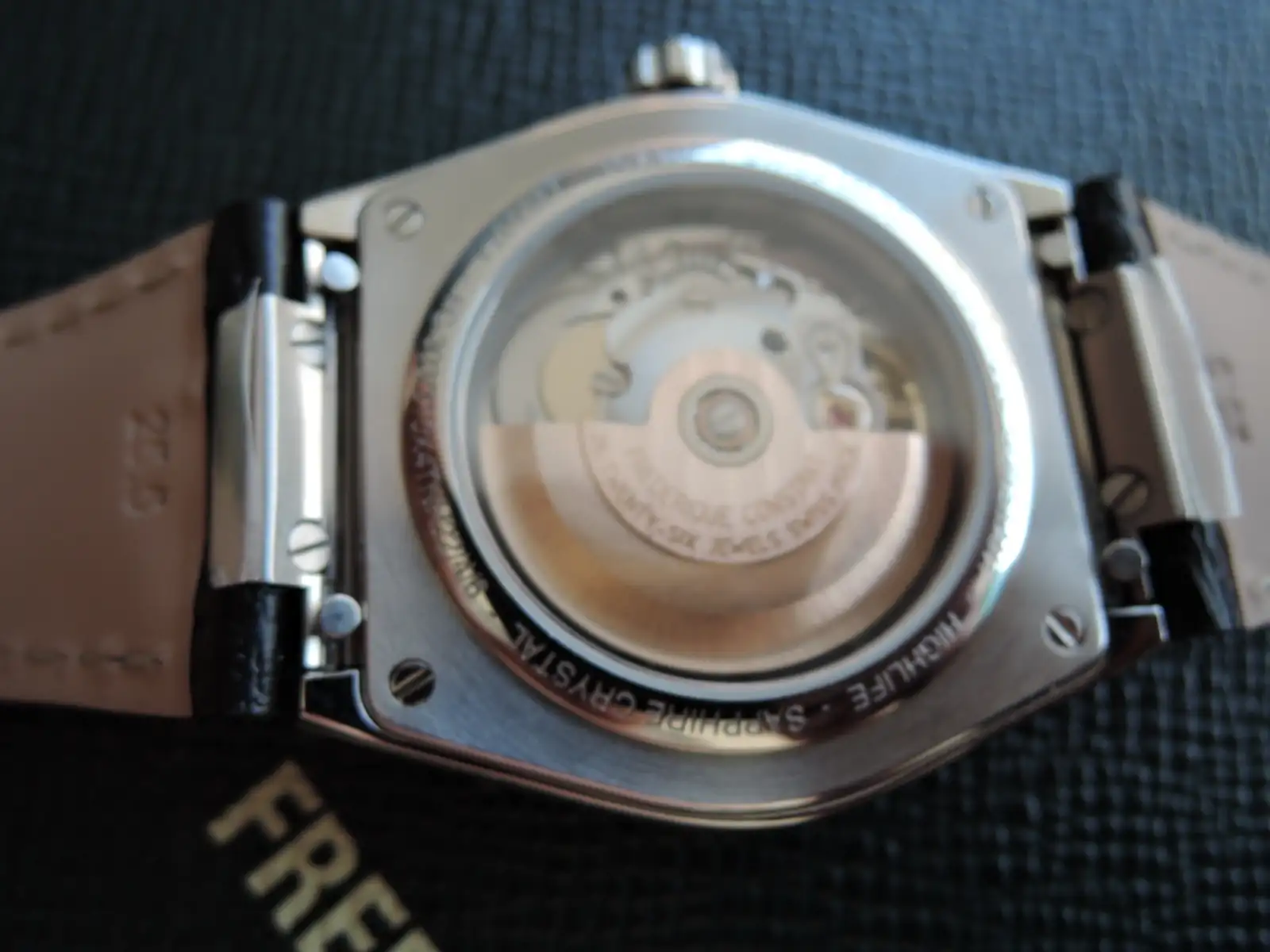 DSCN0664.webp