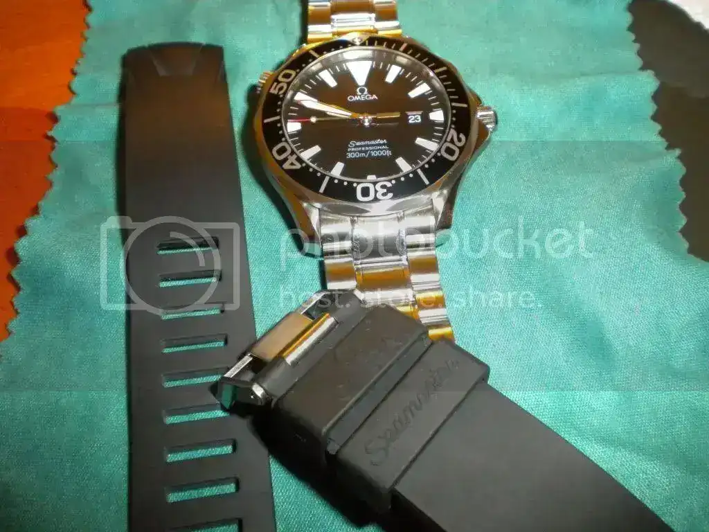 DSCN0665.webp