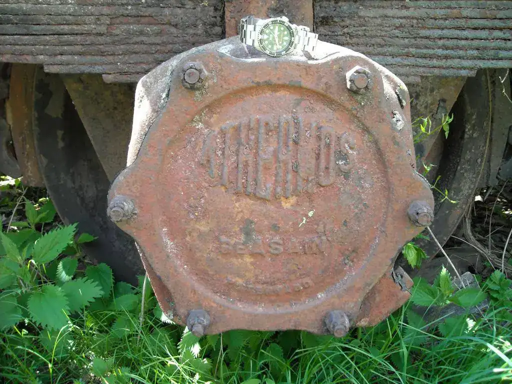 DSCN0675.webp