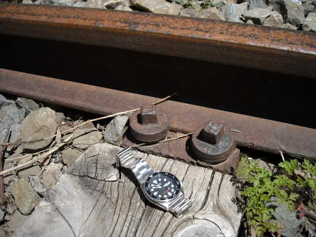 DSCN0689.webp