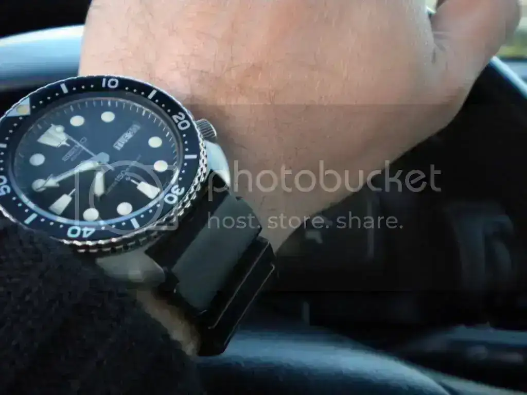 DSCN0729.webp