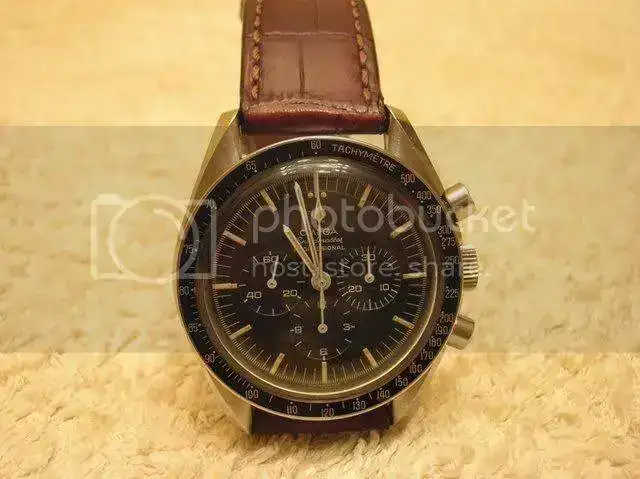 DSCN0769.webp
