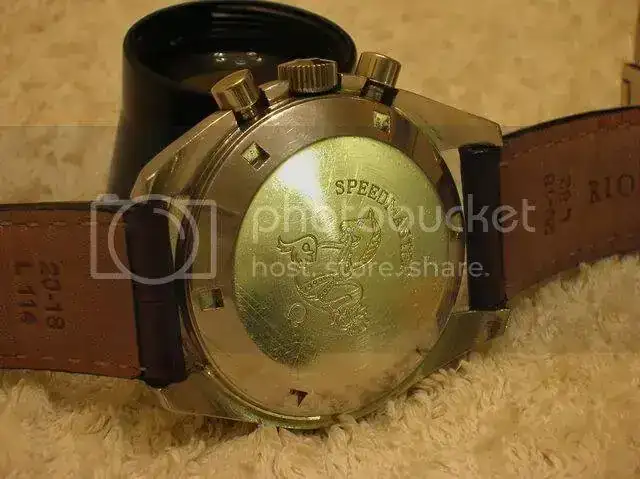 DSCN0772.webp
