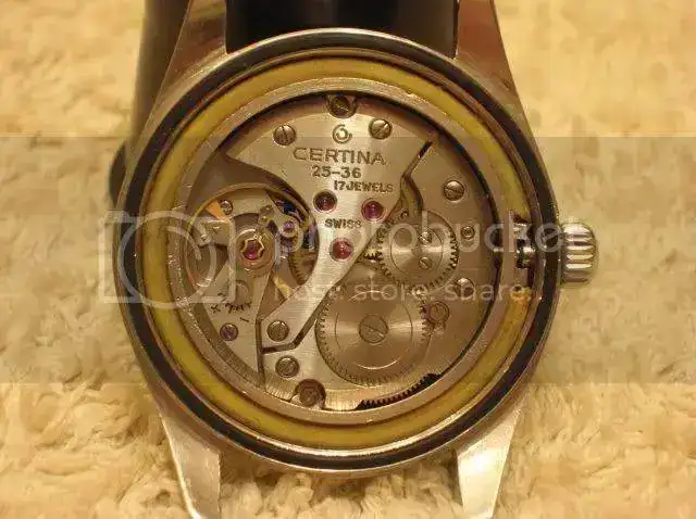DSCN0789.webp