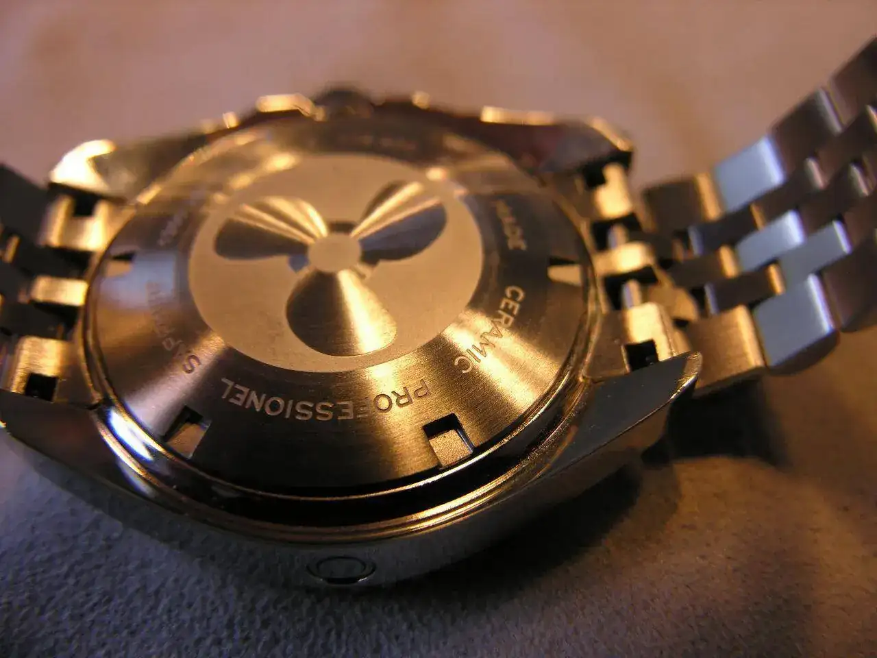 DSCN0891.webp