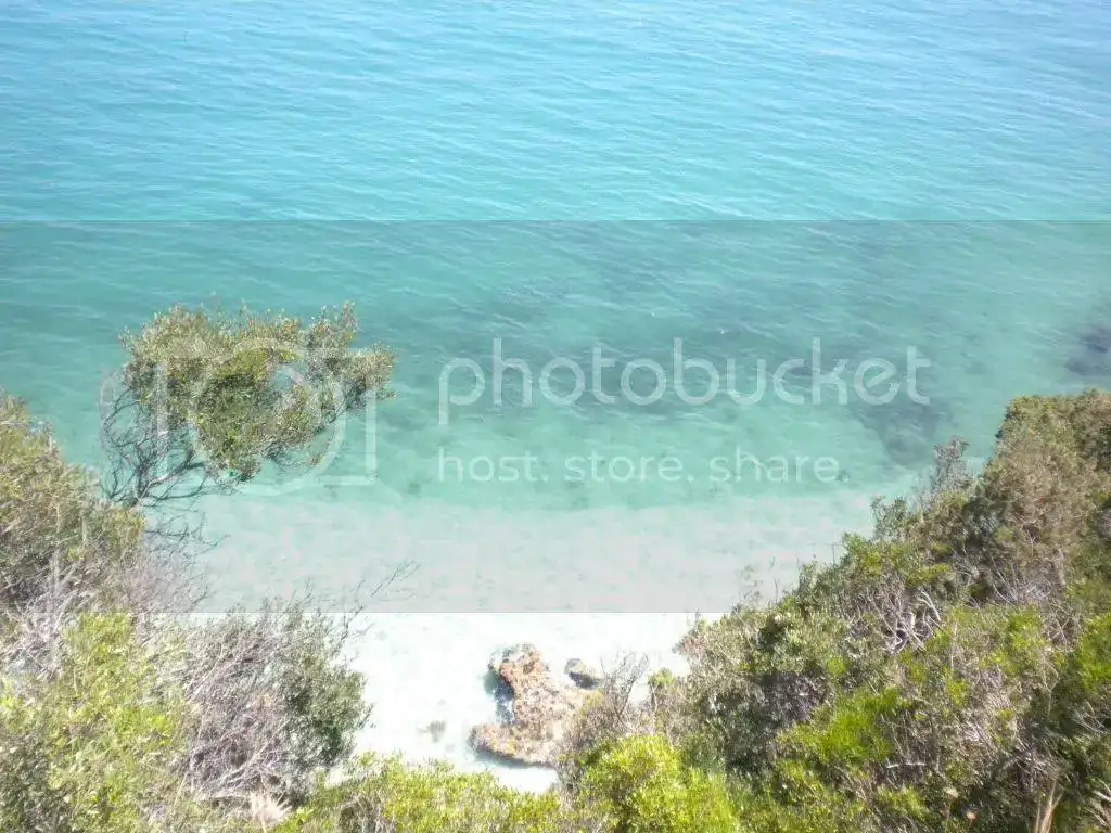 DSCN0999.webp