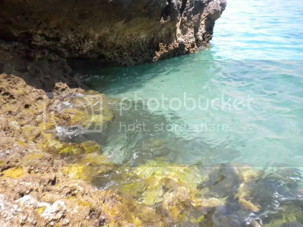 DSCN1036.webp