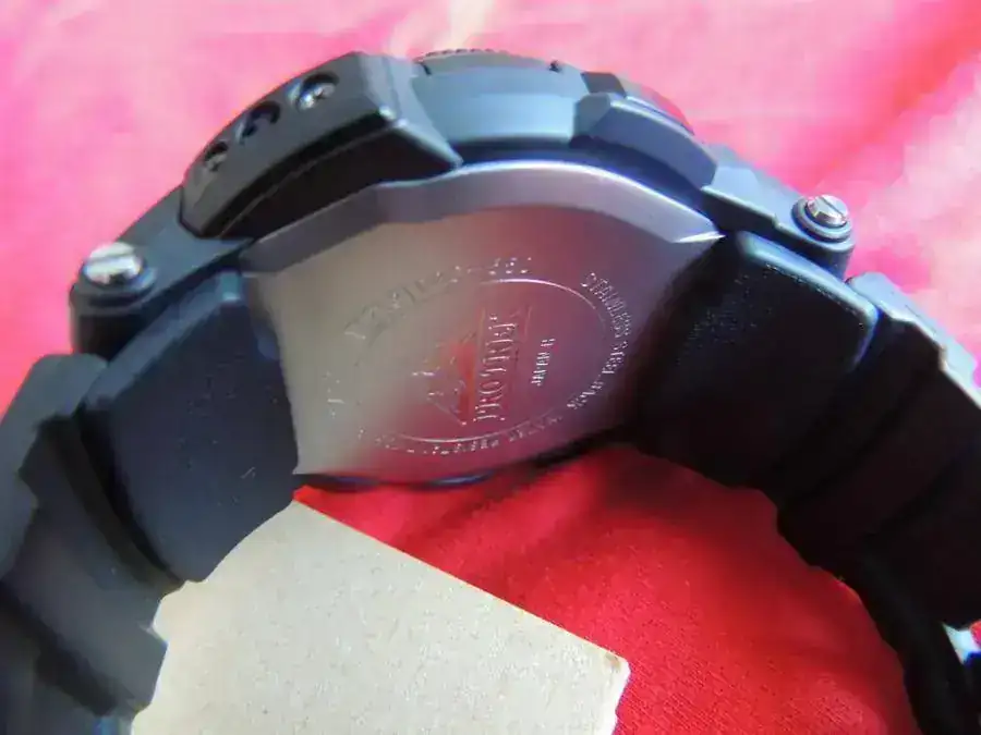 DSCN1061 (Copiar).webp