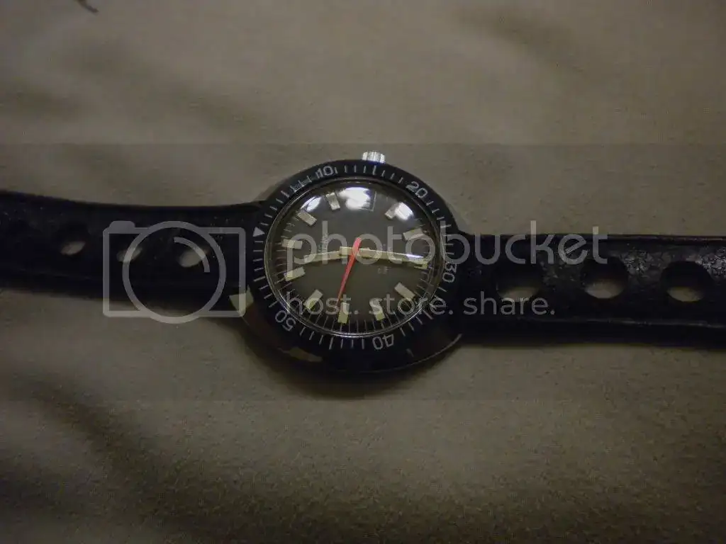 DSCN1065.webp