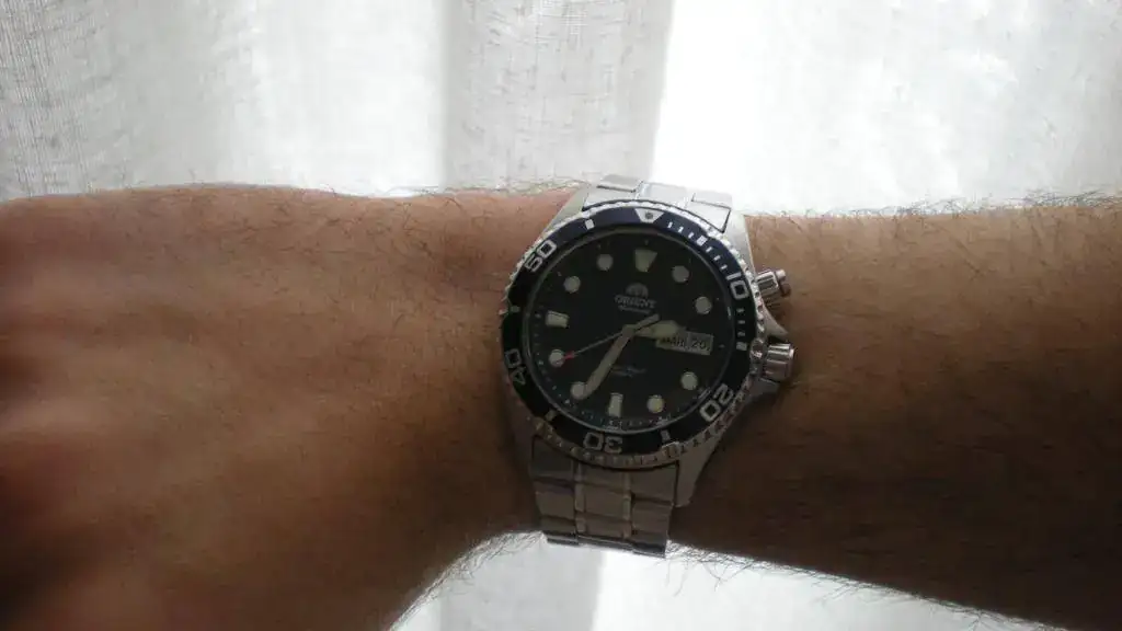 DSCN1131.webp