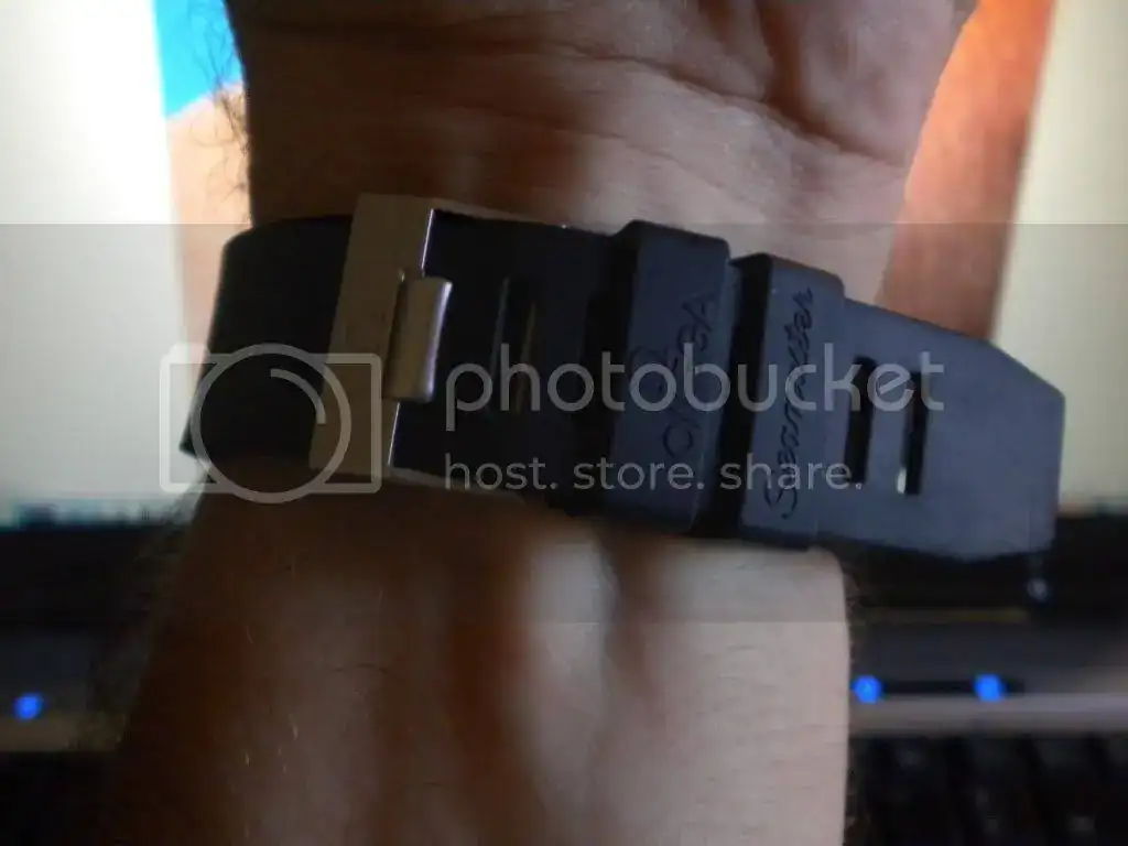 DSCN1131.webp