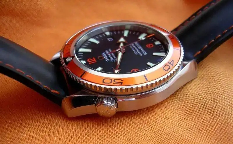 DSCN1359.webp