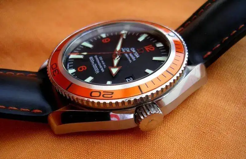 DSCN1360.webp