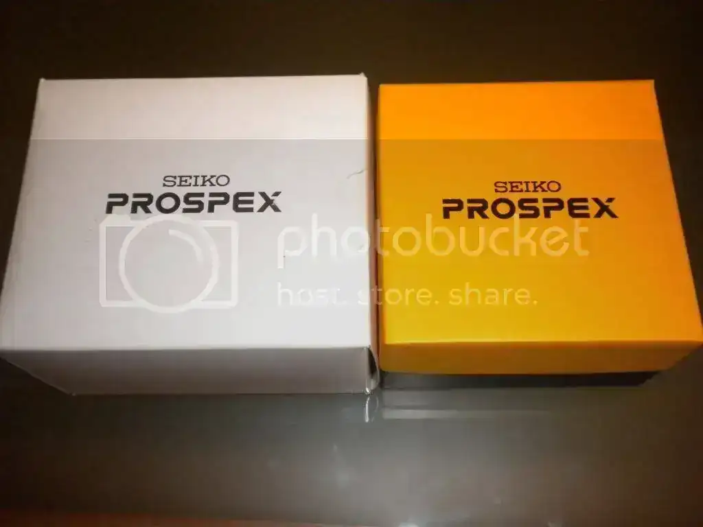 DSCN1883.webp
