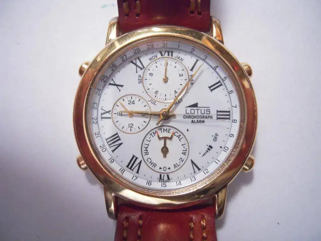 DSCN1884.webp