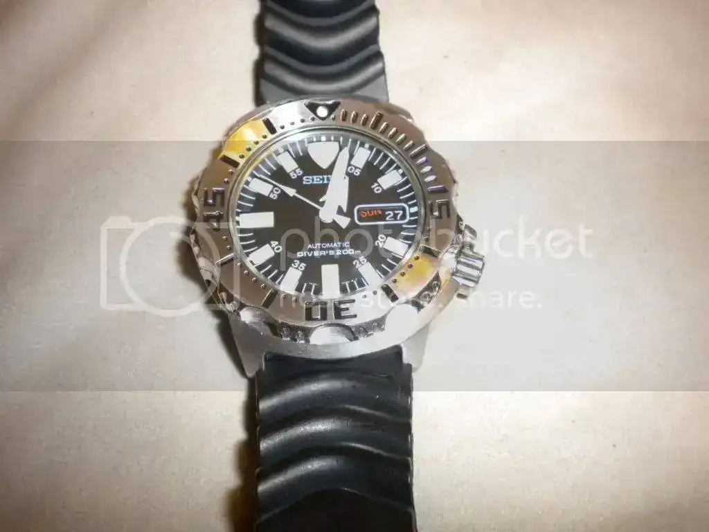 DSCN1920.webp