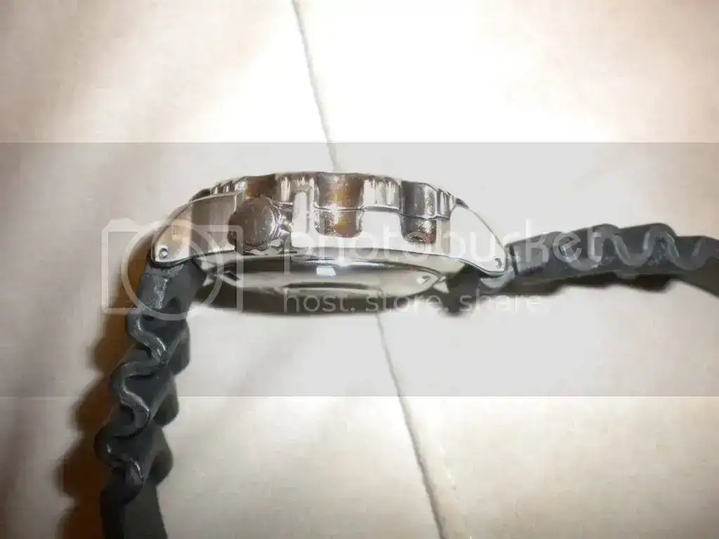 DSCN1921.webp