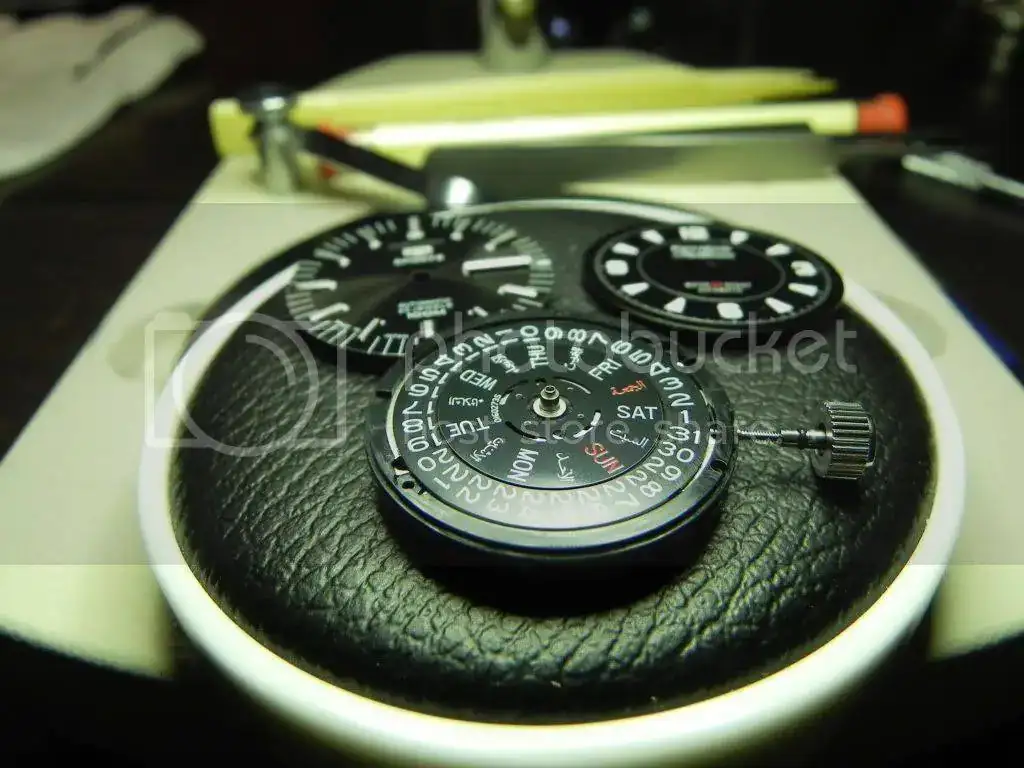 DSCN1938.webp