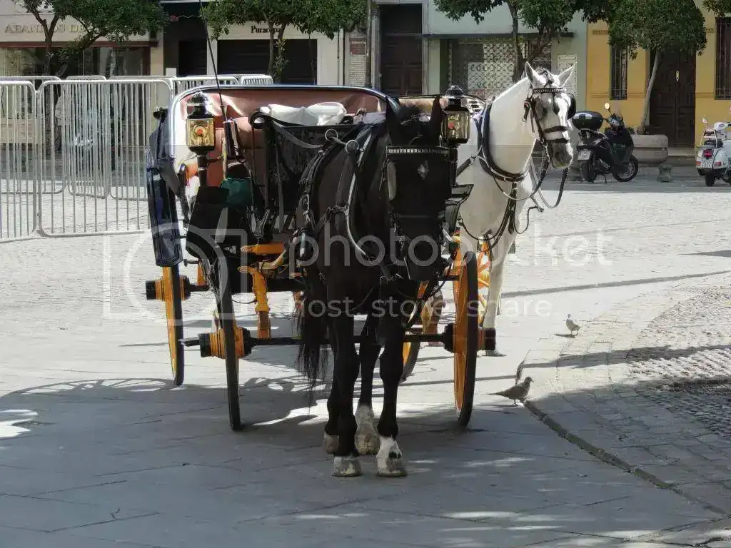 DSCN1999_zps0ec8c6f2.webp