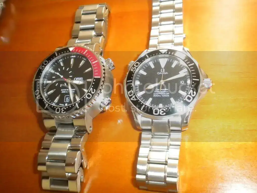 DSCN2272.webp