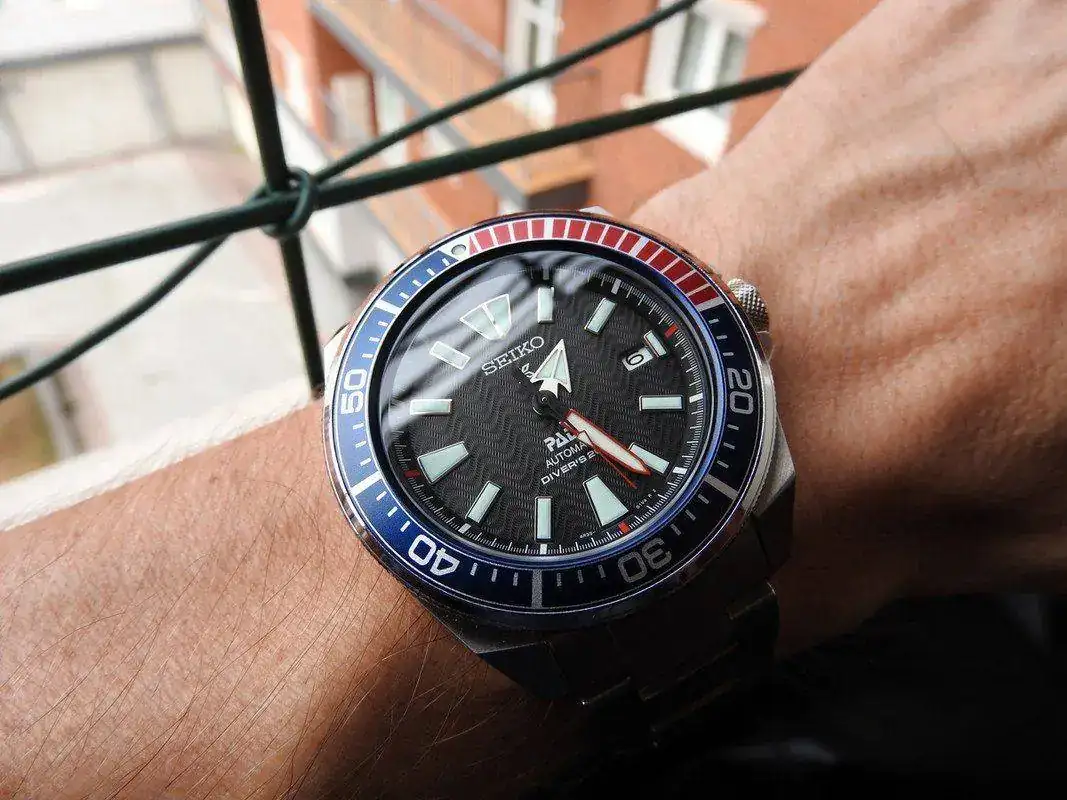 DSCN2362.webp