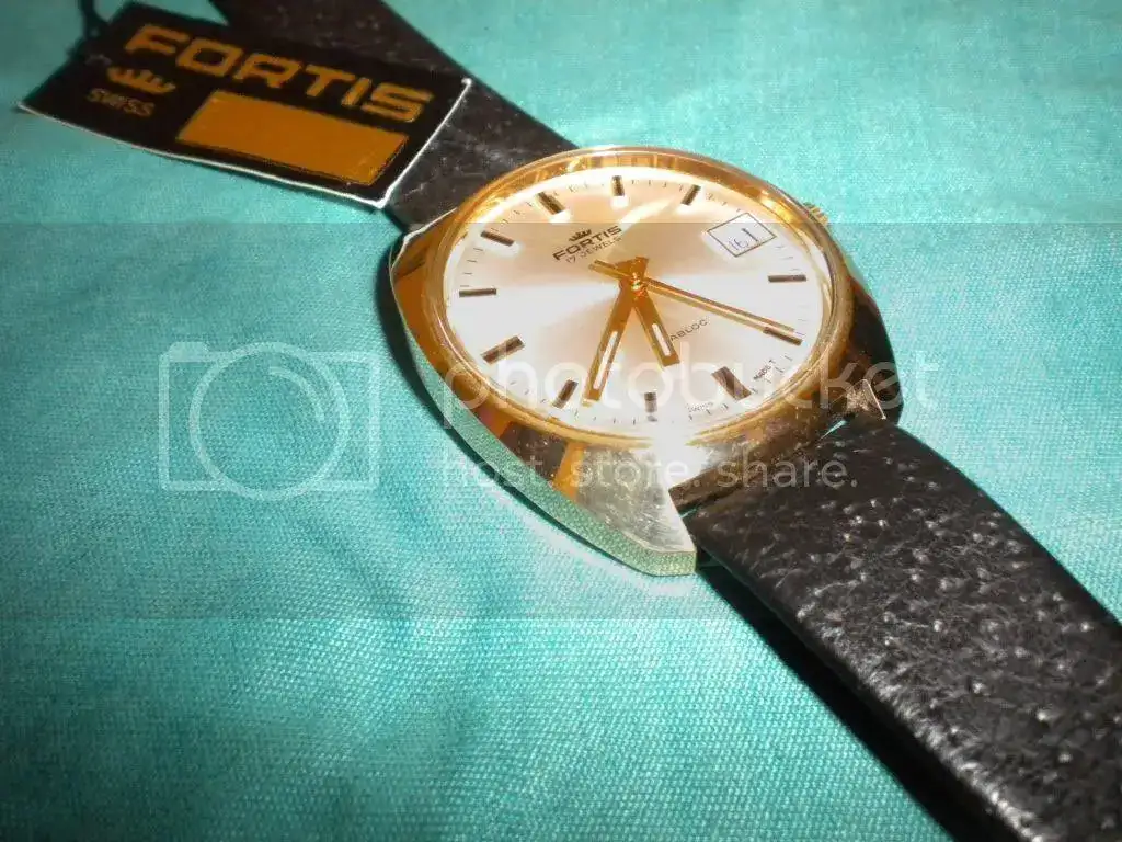 DSCN2437-1.webp